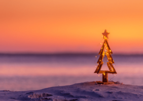 Christmas tree at the beach at sun set