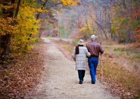 Elderly couple walking in the forest