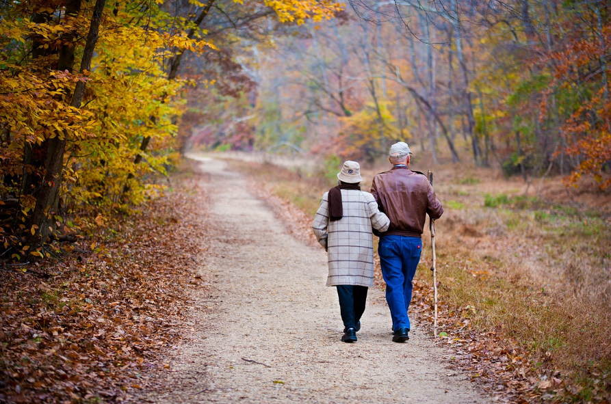 Elderly couple walking in the forest